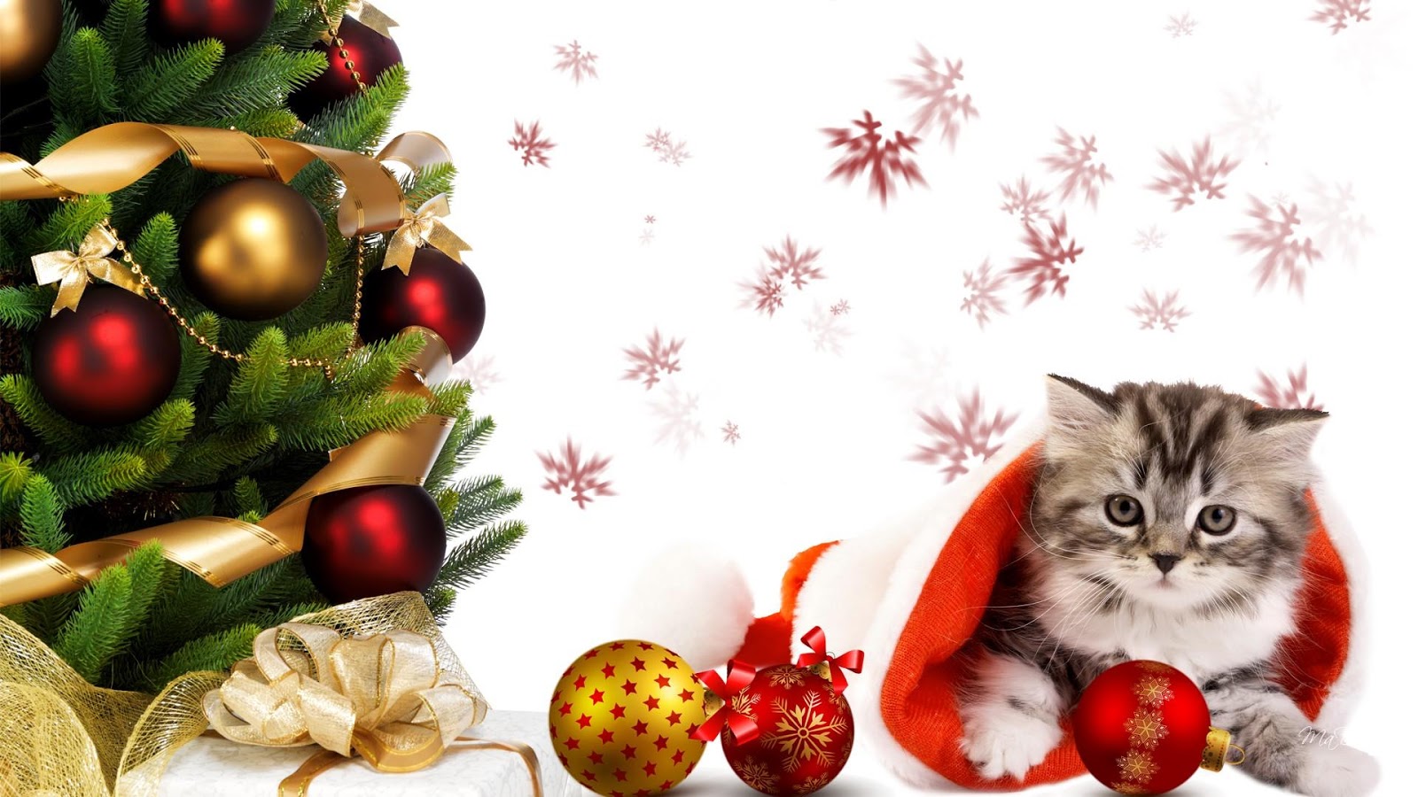 Новогодний кот